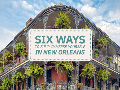 6 Ways to Fully Immerse Yourself In New Orleans