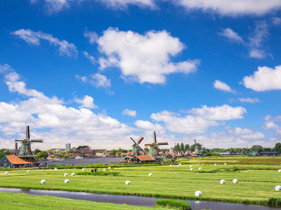 6 Must-Do Tours In Amsterdam